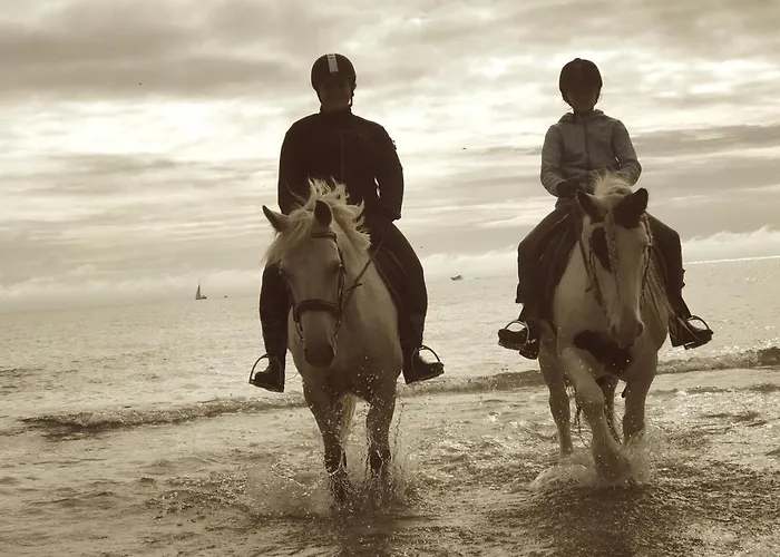 Ferienparadies Appartement *