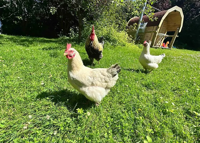 Ferienparadies Appartement *